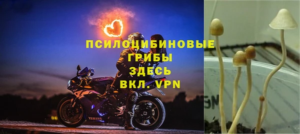 ALPHA PVP Бородино