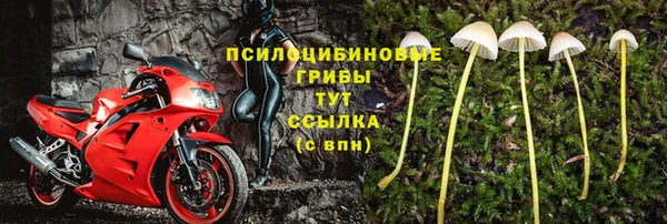 спиды Бронницы