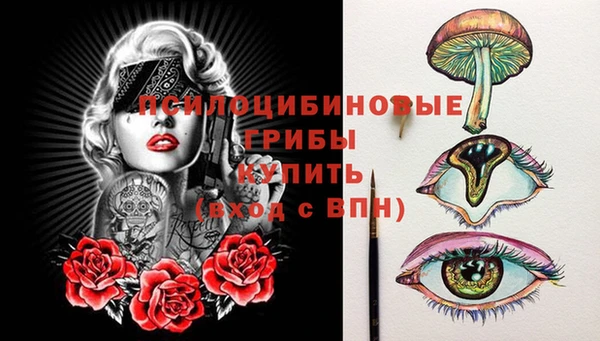 спиды Бронницы