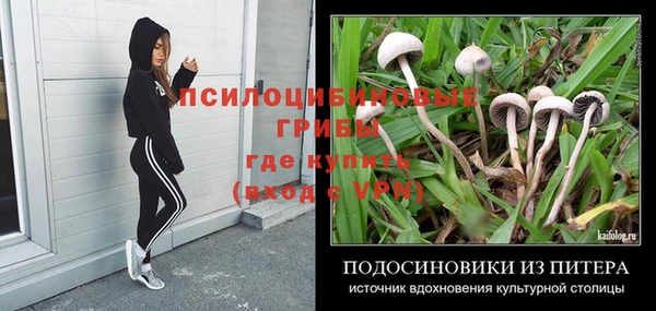 спиды Бронницы