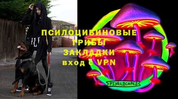 мдпв Бугульма