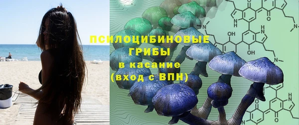 спиды Бронницы