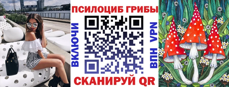 даркнет сайт  Дагестанские Огни  Галлюциногенные грибы Psilocybine cubensis 